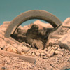 Single Grymn sniper base plus figure